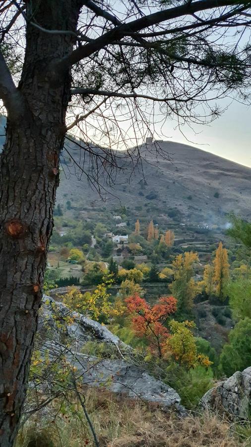 Alojamiento Rural Fuente De La Glorieta Cazorla Esterno foto